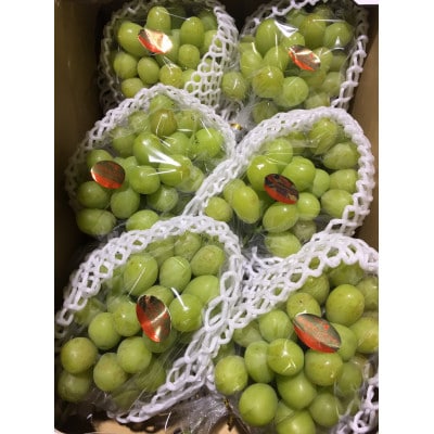 【8月31日(夏休み)までの期間限定企画!!】ご家庭用シャインマスカット　ずっしり　約4.9kg