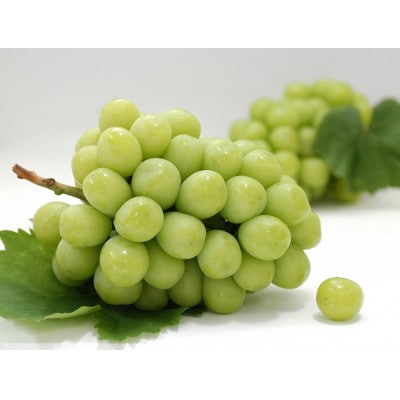 【発送月固定定期便】観音寺市フルーツ定期便(桃+シャインマスカット)全2回