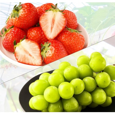 【発送月固定定期便】観音寺市フルーツ定期便(シャインマスカット+さぬきひめいちご)全2回