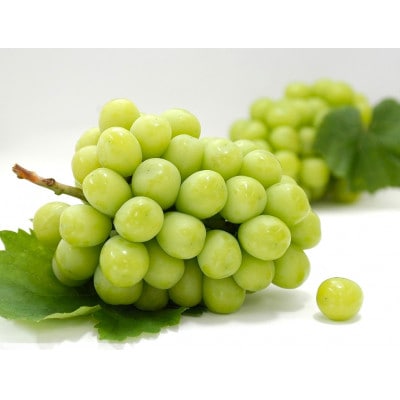 【発送月固定定期便】観音寺市フルーツ定期便(シャインマスカット+小原紅早生みかん)全2回