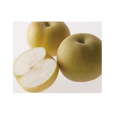 【発送月固定定期便】観音寺市フルーツ定期便(桃+梨+シャインマスカット)全3回