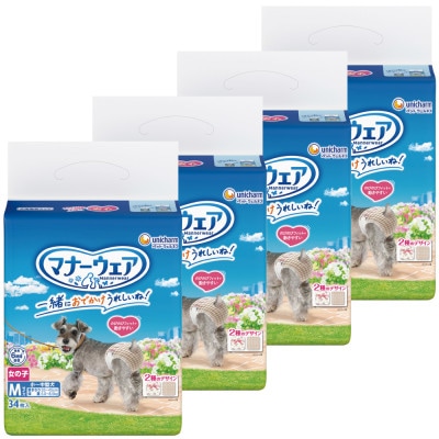 マナーウェア 女の子用 Mサイズ トラッドテイスト 34枚×4袋