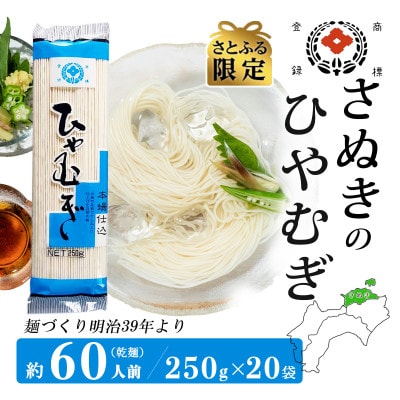 さとふる限定　合田照一商店 さぬきうどん店が作る ひやむぎ 乾麺タイプ約60人前 250g×20袋詰