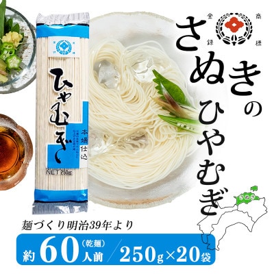 合田照一商店 さぬきうどん店が作る ひやむぎ 乾麺タイプ約60人前 250g×20袋詰