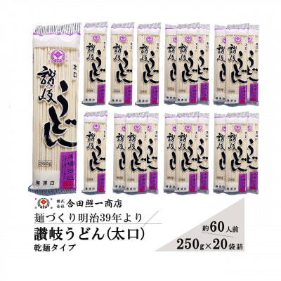 合田照一商店 讃岐うどん(太口)乾麺タイプ約60人前 250g×20袋詰