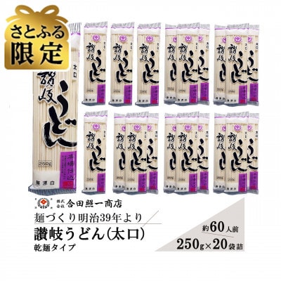 【さとふる限定】合田照一商店 讃岐うどん(太口)乾麺タイプ約60人前 250g×20袋詰