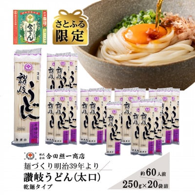 【さとふる限定】合田照一商店 讃岐うどん(太口)乾麺タイプ約60人前 250g×20袋詰