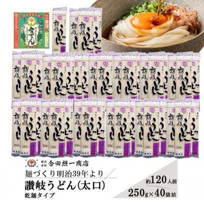 合田照一商店 讃岐うどん(太口)乾麺タイプ約120人前 250g×40袋詰