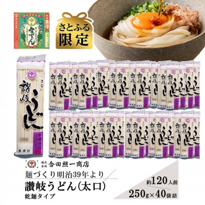【さとふる限定】合田照一商店 讃岐うどん(太口)乾麺タイプ約120人前 250g×40袋詰