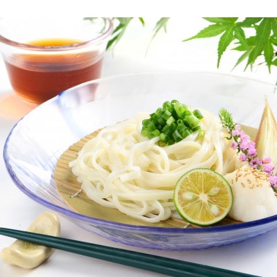 麺しるべ讃岐ざるうどん　60人前　本場のコシとのど越し 乾麺