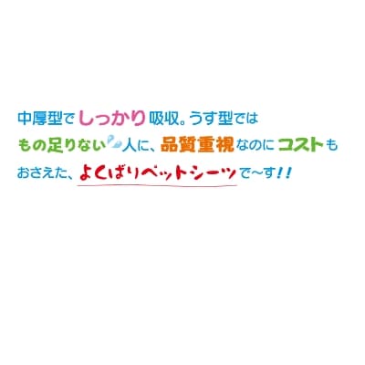 エコ サラ・シート ワイド45枚×8個