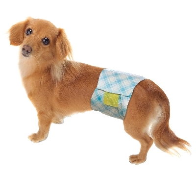 男の子のためのマナーおむつ おしっこ用 中型犬32枚×6個