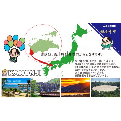 携帯用シミ取りシート1箱 25包(個包装)×10個セット(250回分)〈KA-154F〉