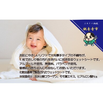 大判 赤ちゃんのおしりふき 60枚2個パック×6個セット(720枚)　KA-208F