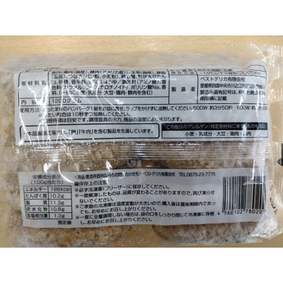 【手軽で美味しい】旨みチキンとポークのハンバーグ 　120g×120個　(KA-140)