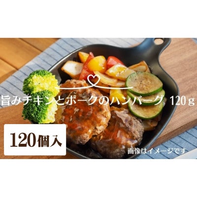 【手軽で美味しい】旨みチキンとポークのハンバーグ 　120g×120個　(KA-140)