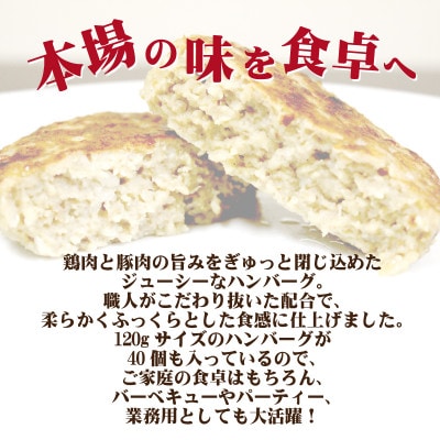 旨みチキンとポークのハンバーグ 120g×40個(冷凍直送)(KA-179F)