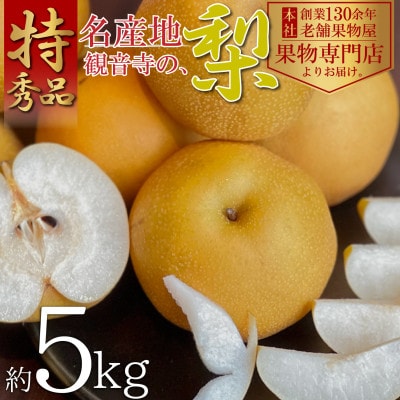 【2025年8月上旬より順次発送】特秀品!名産地、観音寺の梨　約5kg