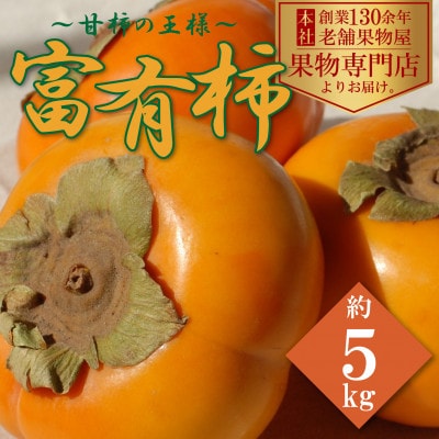 【先行受付/2024年11月上旬より順次発送】甘柿の王様!富有柿　約5kg