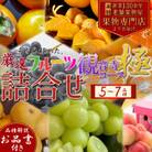 専門店厳選!旬を見極めた、厳選フルーツ詰合せ【観音寺コース-極-】1回便