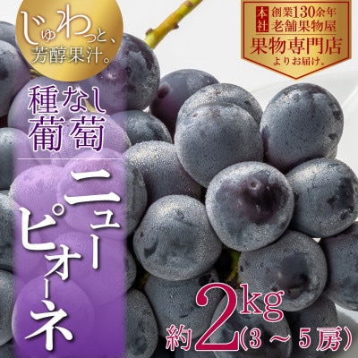 種なし!ジュワっと果汁♪ニューピオーネ　約2kg
