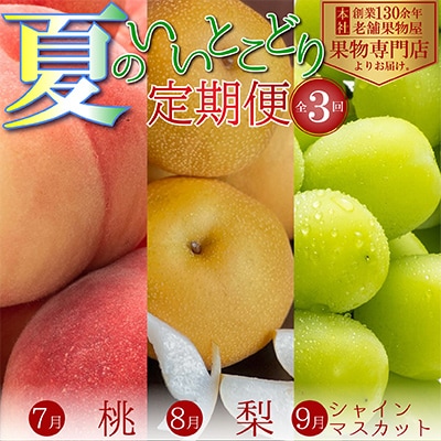 【発送月固定定期便】夏のいいとこどり定期便(7・8・9月)全3回
