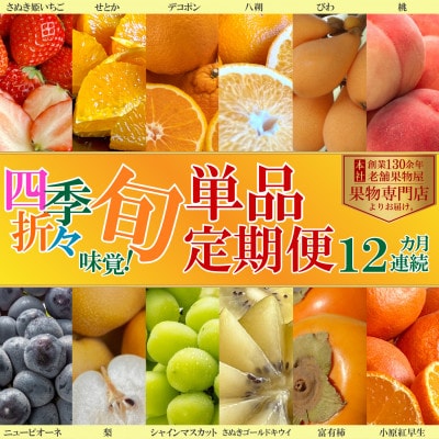 【発送月固定定期便】四季折々旬味覚!旬の果実12ヶ月連続単品定期便♪全12回