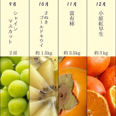 【発送月固定定期便】四季折々旬味覚!旬の果実12ヶ月連続単品定期便♪全12回