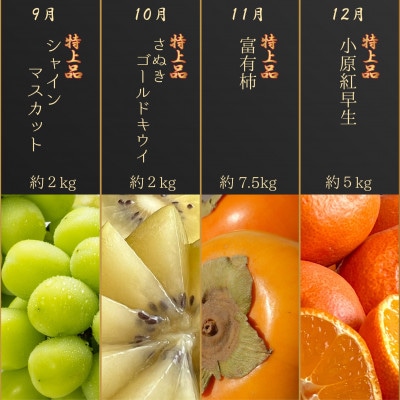 【発送月固定定期便】<完全数量限定>旬を見極め一品!プレミアム等級選果12ヶ月連続単品定期便全12回