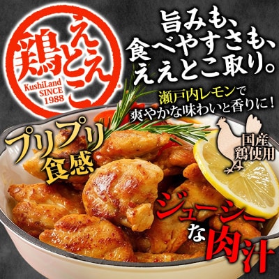 さぬきええとこ鶏 120g×5袋 チキンオイル 付 香川 ソウルフード 名物 さぬき鳥本舗