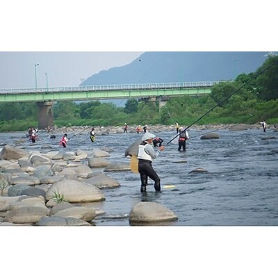 九頭竜川 鮎友釣り年券(1名様分)