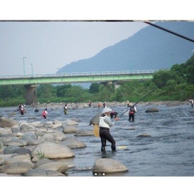 【2024年分先行受付】九頭竜川　鮎友釣り1日券(1名様分)