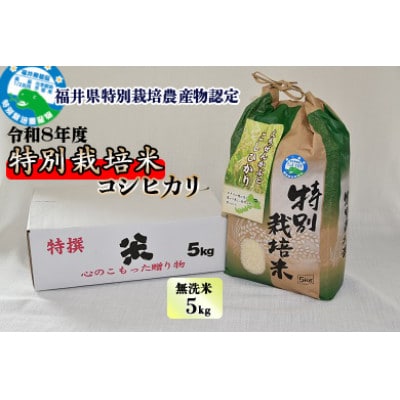 先行予約【令和8年産】 特別栽培米 コシヒカリ 5kg×1 (無洗米)