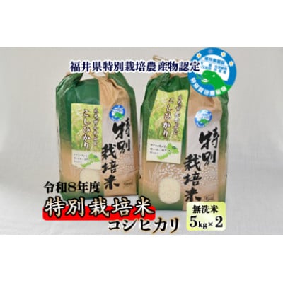 先行予約【令和8年産】 特別栽培米 コシヒカリ 5kg×2 (無洗米)
