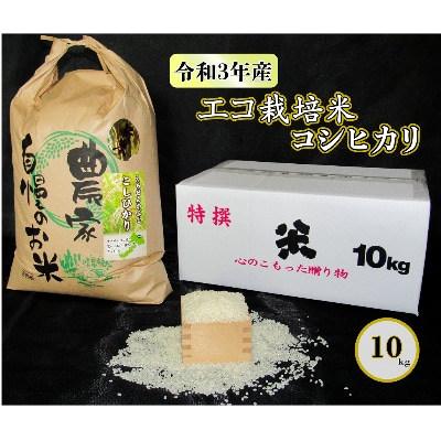 令和3年産 エコ栽培米 勝山産コシヒカリ10kg(精米)