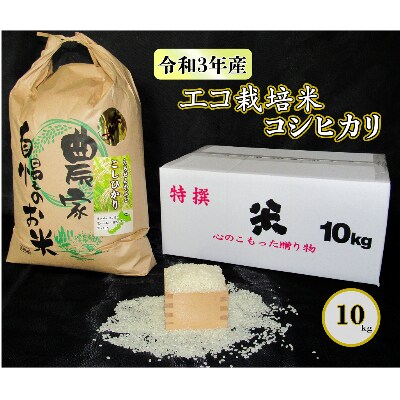 令和3年産 エコ栽培米 勝山産コシヒカリ10kg(精米)