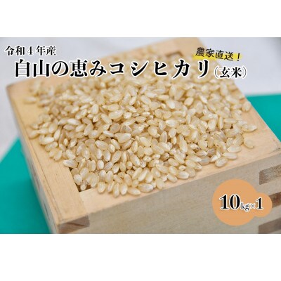 白山の恵み 令和4年産 コシヒカリ(玄米)10kg | お礼品詳細 | ふるさと