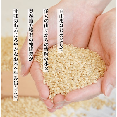 白山の恵み 令和6年産 コシヒカリ(玄米)10kg