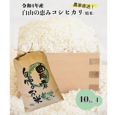 白山の恵み 令和4年産 コシヒカリ(精米)10kg