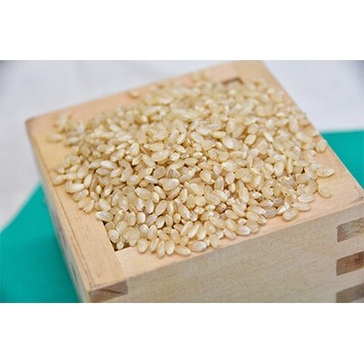 白山の恵み 令和2年産 コシヒカリ(玄米)10kg×2