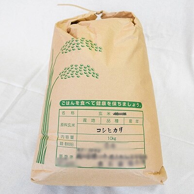 白山の恵み 令和2年産 コシヒカリ(玄米)10kg×2