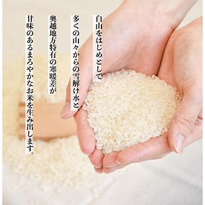 【発送月固定定期便】家事をもっと楽に!コシヒカリ定期便(精米)10kg×全3回