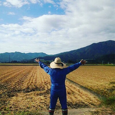 【発送月固定定期便】家事をもっと楽に!コシヒカリ定期便(精米)10kg×全3回