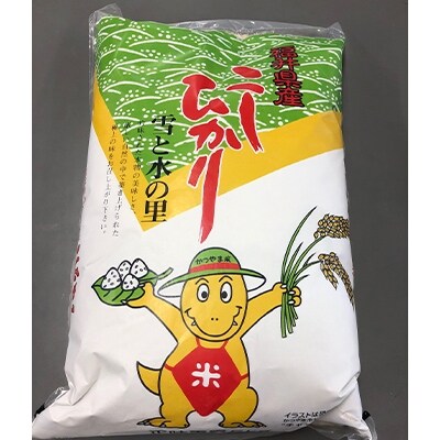 勝山産コシヒカリ ちゃまごん米 5kg 精米