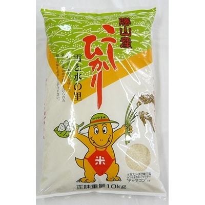 2021年8月発送開始『定期便』 勝山のお米コシヒカリ10kg (毎月プラン)全12回