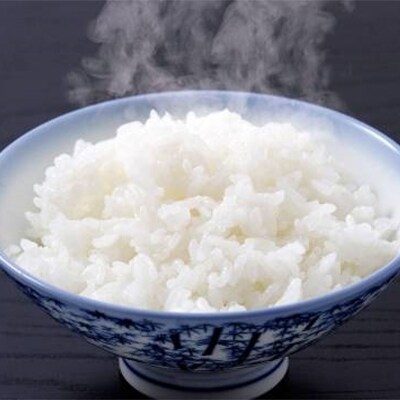 2021年7月発送開始『定期便』 勝山のお米コシヒカリ10kg 全6回