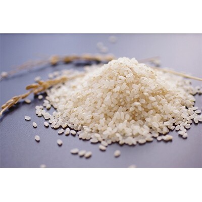 2021年7月発送開始『定期便』 勝山のお米コシヒカリ5kg 全6回