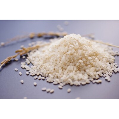 2021年7月発送開始『定期便』　勝山のお米コシヒカリ5kg　全3回
