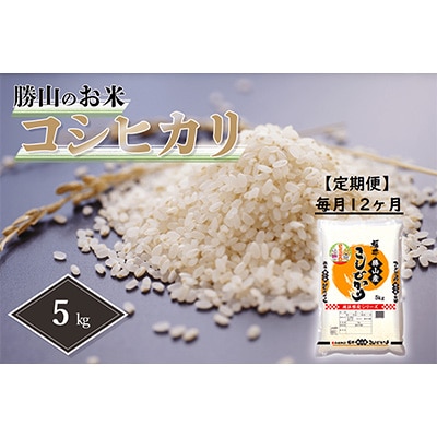 2023年3月発送開始『定期便』勝山産 コシヒカリ 5kg 精米 毎月全12回