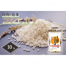 2023年11月発送開始『定期便』勝山産 コシヒカリ 10kg 精米 3ヶ月に1回 全4回 | ふるさと納税のお礼品